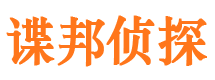 河东区私家调查公司